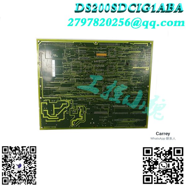 DS200SDCIG1ABA（1）