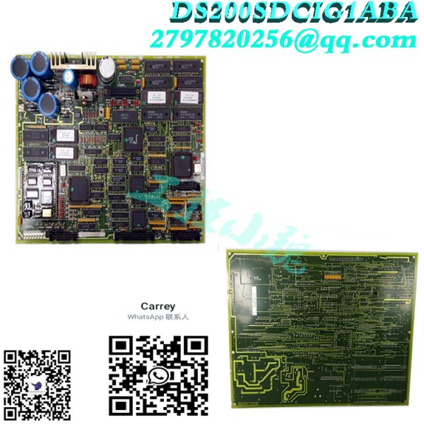 DS200SDCIG1ABA（2）